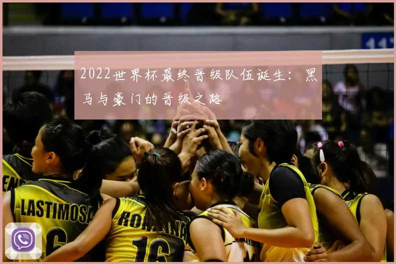 2022世界杯最终晋级队伍诞生：黑马与豪门的晋级之路