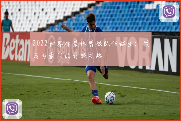 2022世界杯最终晋级队伍诞生：黑马与豪门的晋级之路