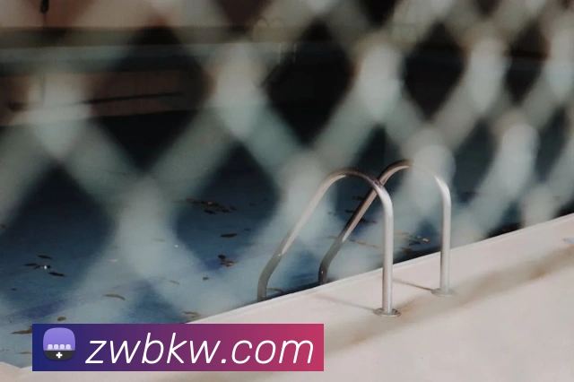 App Interface Preview